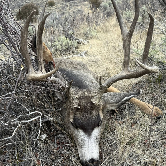 Buck Reel 3D 2.0 deer and doe call