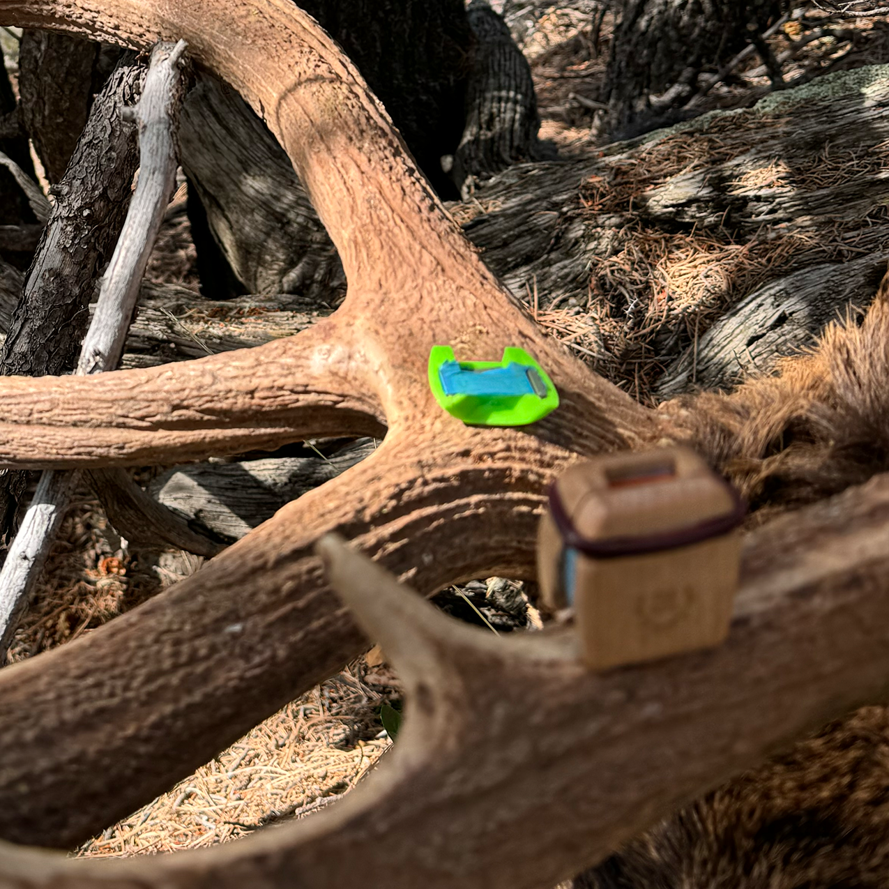Elk Reel mouth reed scream diaphragm on bull rack