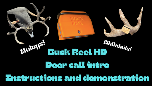 The Best deer call ever?