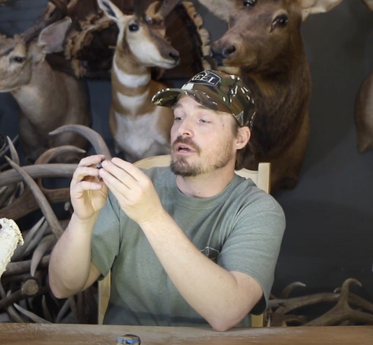 Elk Reel Lesson 3: Assembly Mews, Demanding Mews and Estrous Mews