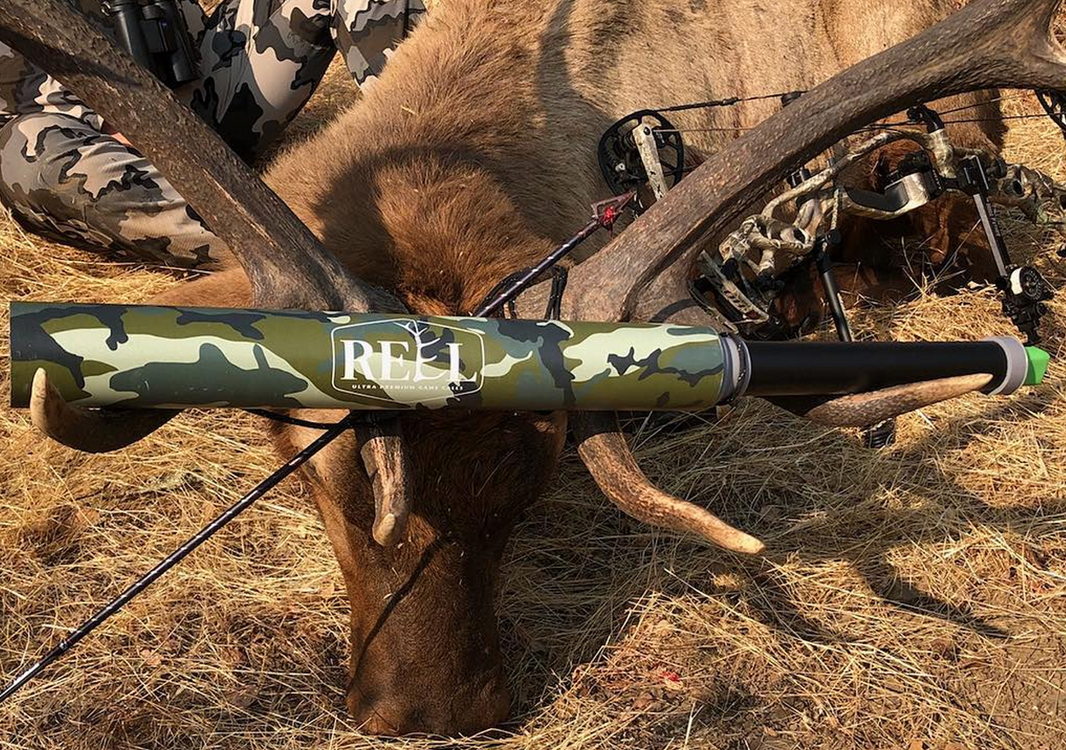Photo of Elk Reel ExtendaBull bugle in a large bull elk antlers
