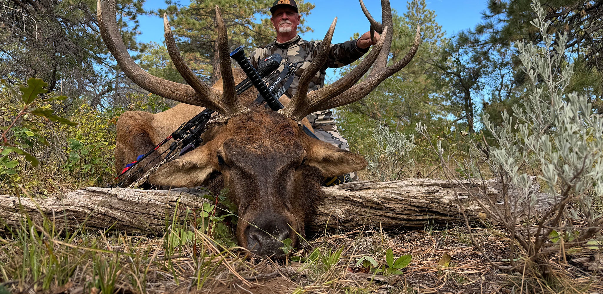Photo of a huge bull called in my Elk Reel