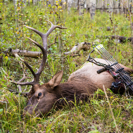 Elk Reel call 3D 2.0