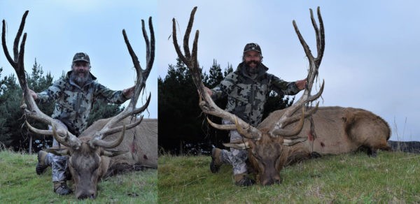 Bull Elk Bugle Call Deer Archery Hunting 